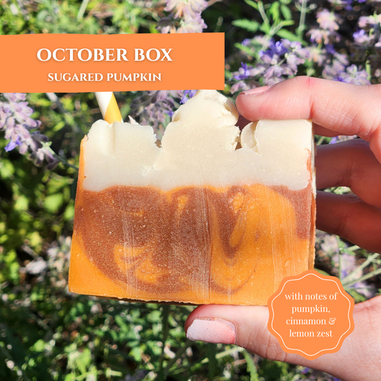 October Box of Sugared Pumpkin Soap from a self-care subscription box featuring pumpkin and lemon zest notes