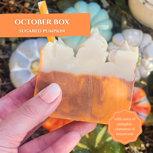 Handcrafted October box soap with notes of pumpkin, cinnamon, and lemon zest to turn your shower into a spa