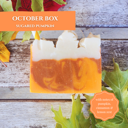 October Box Sugared Pumpkin Soap Bar for your self-care ritual with notes of pumpkin and lemon zest