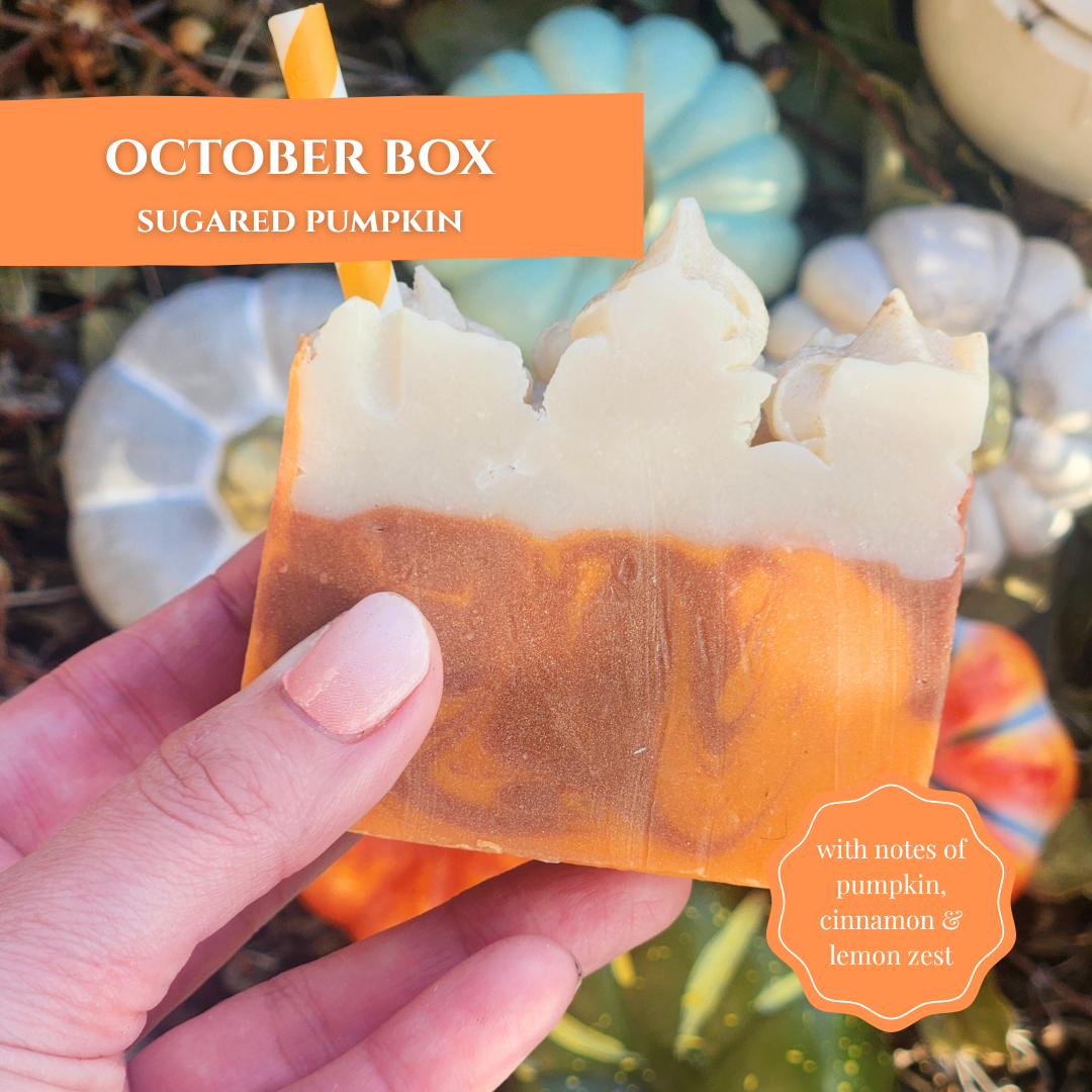 Handcrafted October box soap with notes of pumpkin, cinnamon, and lemon zest to turn your shower into a spa