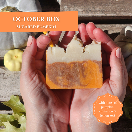 Sugared pumpkin handmade soap from the monthly subscription box featuring vibrant colors and autumn notes