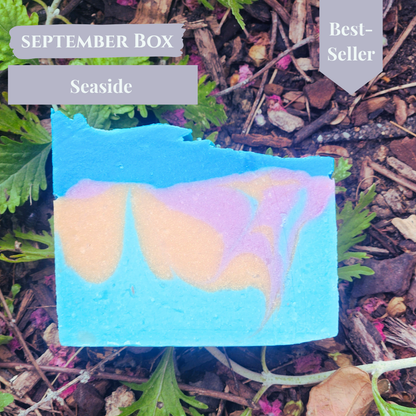 Soap Lovers Club | Ultra-Nourishing Natural Artisan Soap Bars — Delivered Monthly