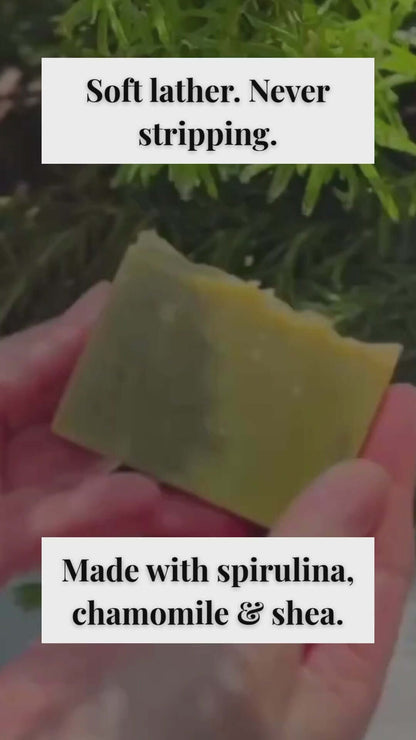 Green All Natural Soap in hand with soft lather, made with spirulina, chamomile, and shea