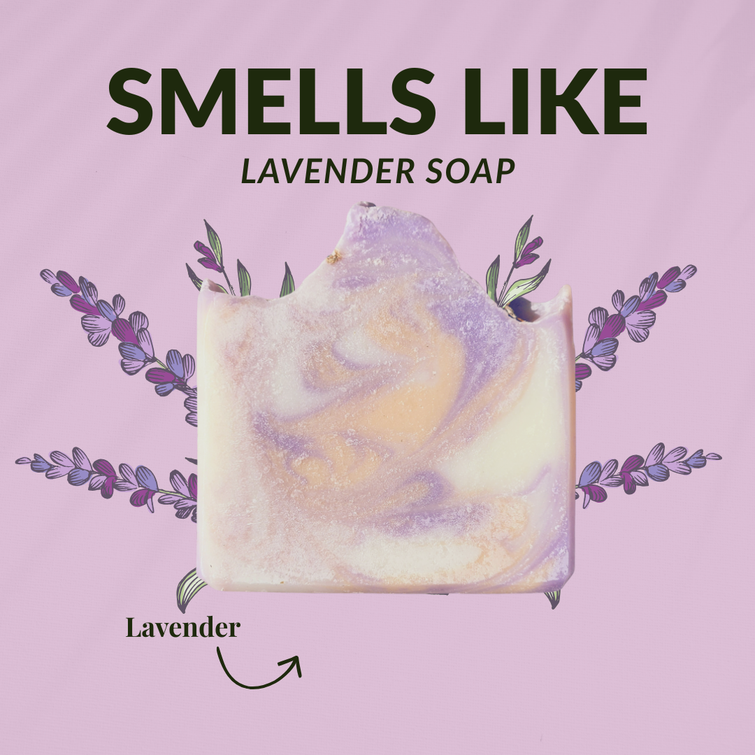 Lavender Mild Shea Butter Soap with a swirl design and lavender fragrance for a calming experience