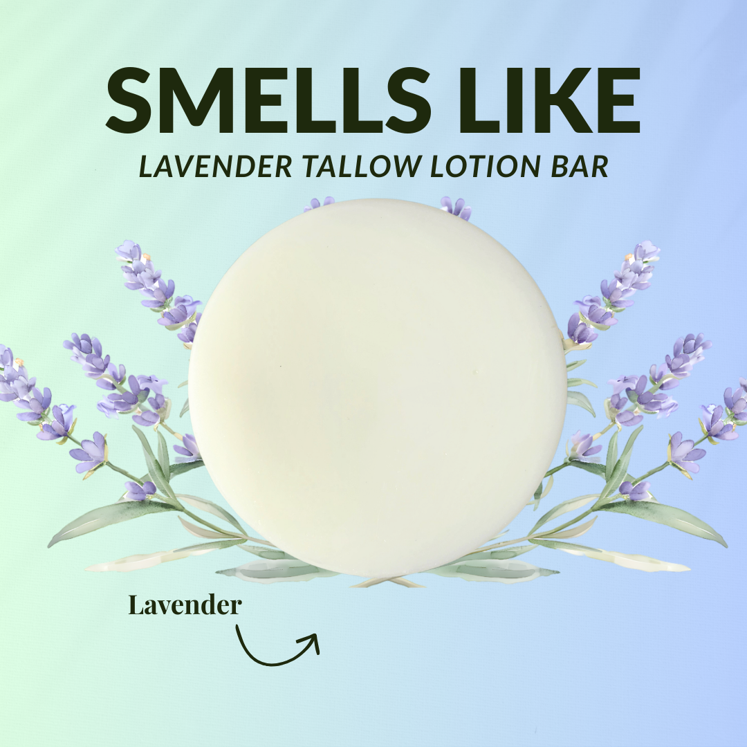 Lavender tallow solid lotion bar surrounded by lavender flowers, promoting natural body care