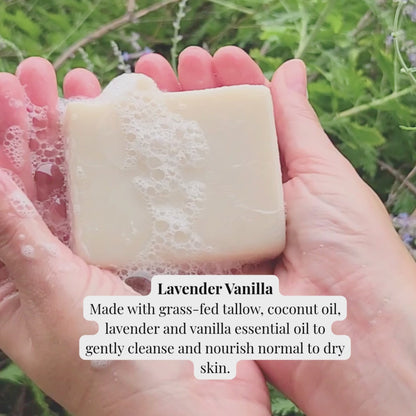 Lavender Vanilla | Dry Skin Tallow Soap