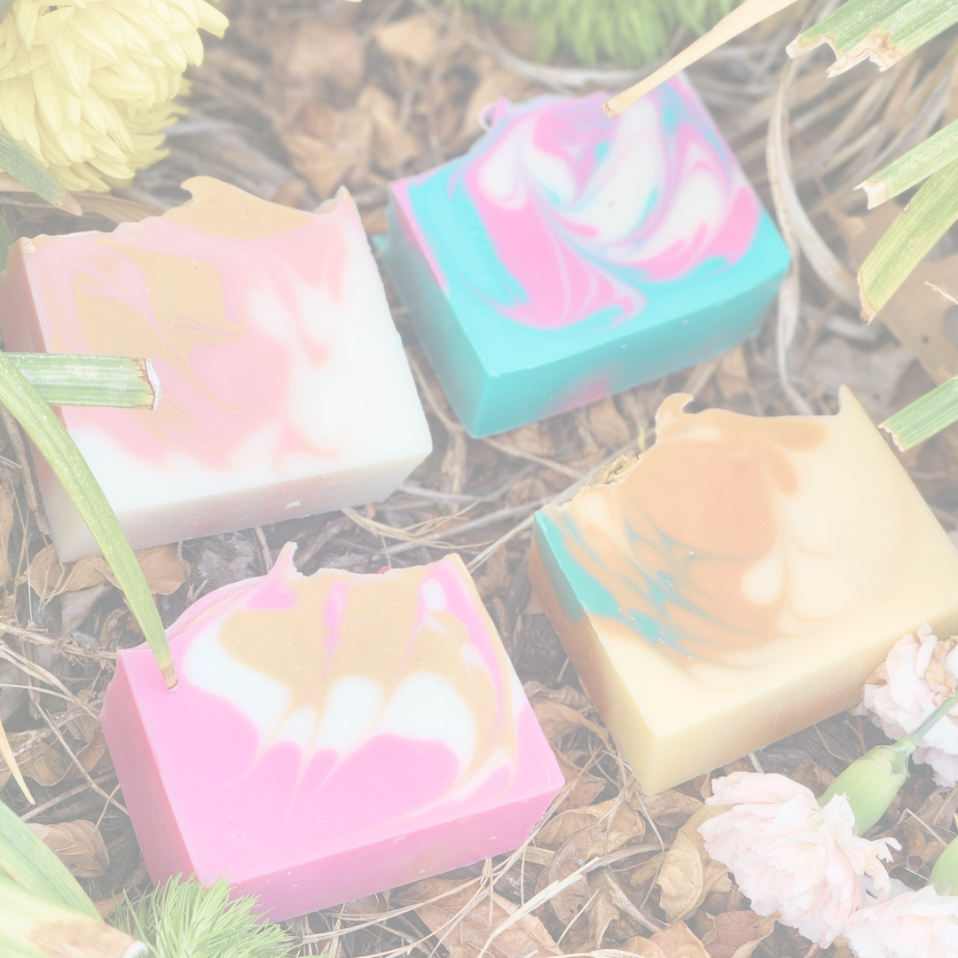 Current Collection Pics.png